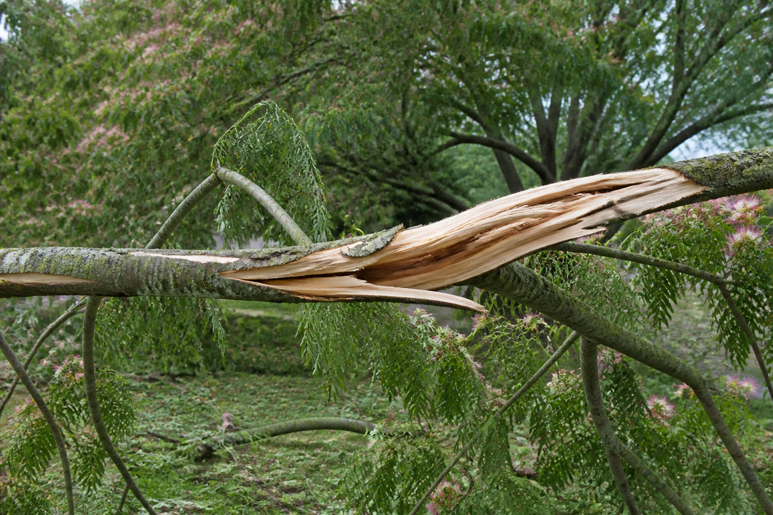 Une fragilité structurelle face aux caprices météo