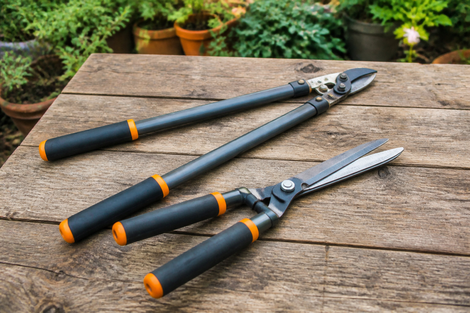 3 outils indispensables pour une coupe nette