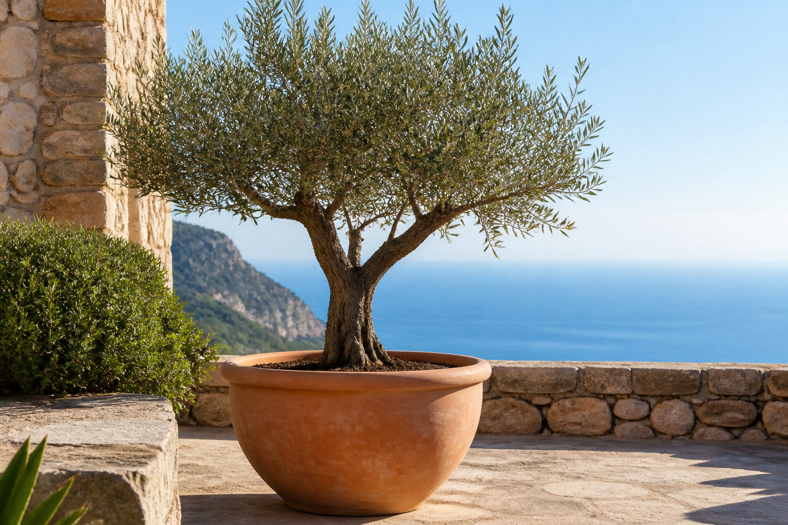 Comment protéger ton arbre des gelées ?