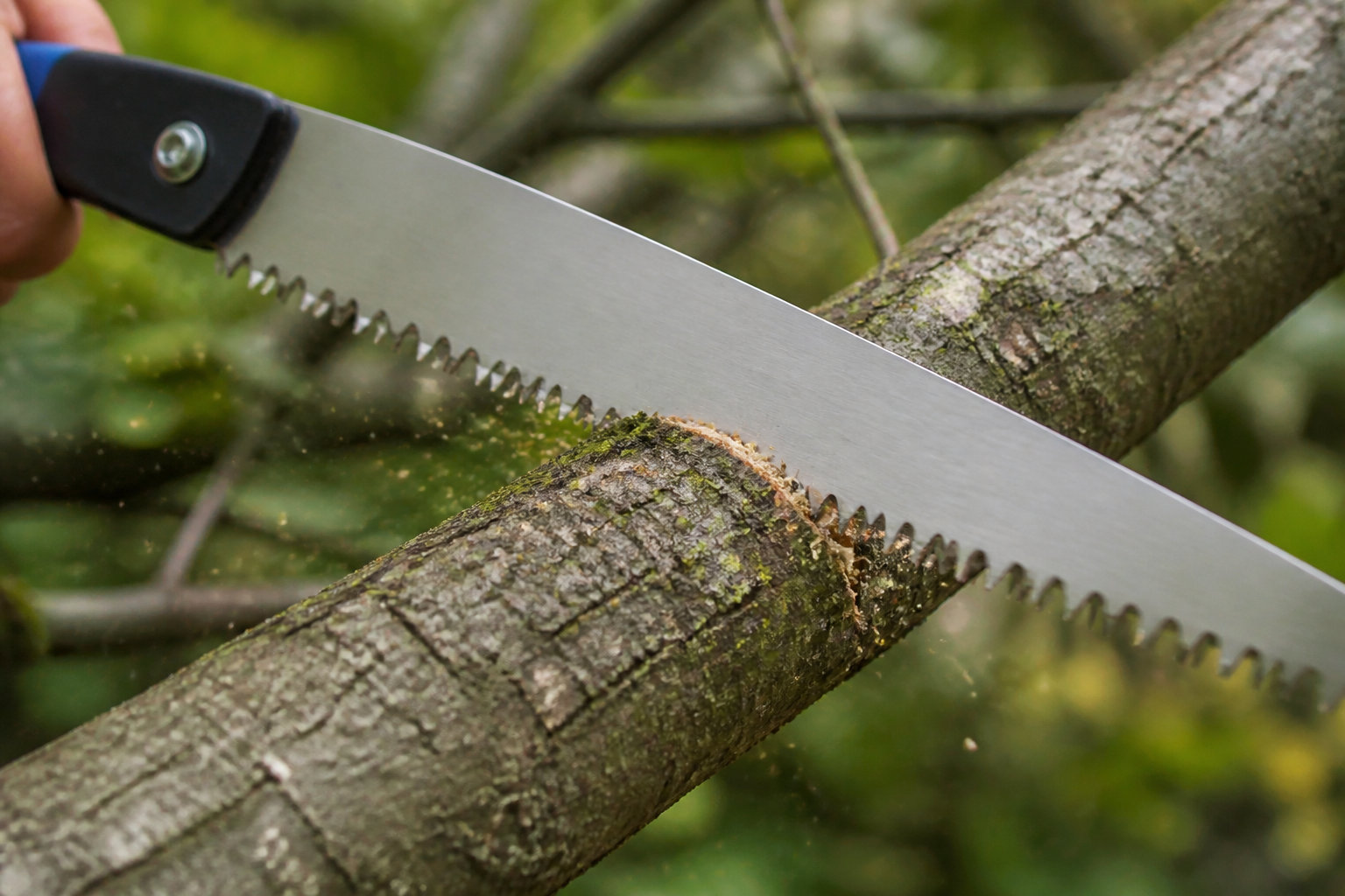 Maîtriser la technique de coupe et les outils